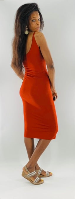 Fitted Midi Dress| Knee Length - SAMPLE SALE